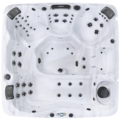Avalon EC-867L hot tubs for sale in Westland