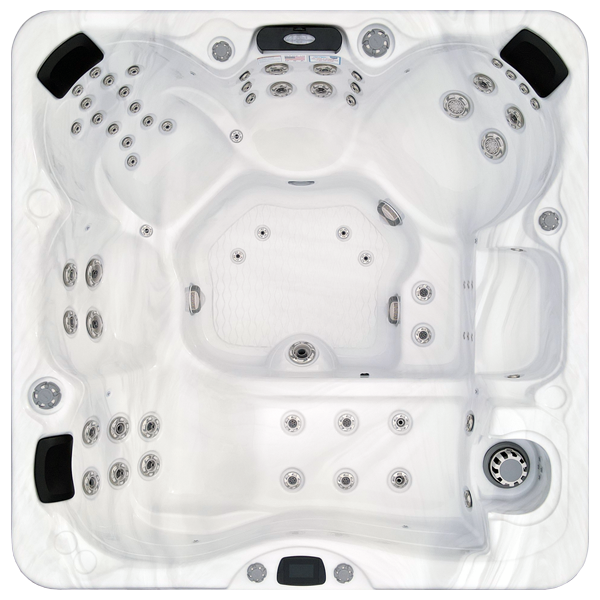 Avalon-X EC-867LX hot tubs for sale in Westland